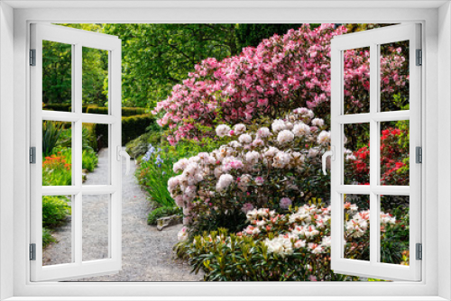 Fototapeta Naklejka Na Ścianę Okno 3D - Beautiful Garden with blooming trees during spring time, Wales, UK
