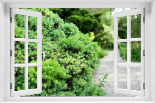 Fototapeta Naklejka Na Ścianę Okno 3D - Beautiful botanical garden, natural green plants in spring 