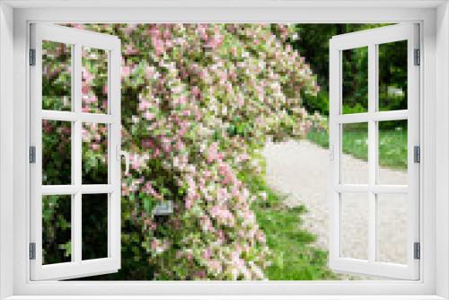 Fototapeta Naklejka Na Ścianę Okno 3D - Beautiful botanical garden, flowers and blooming bushes in spring