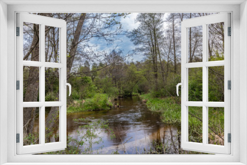 Fototapeta Naklejka Na Ścianę Okno 3D - Rzeka w lesie