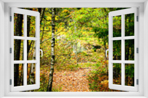 Fototapeta Naklejka Na Ścianę Okno 3D - Narrow path in the woods in a autumn landscape