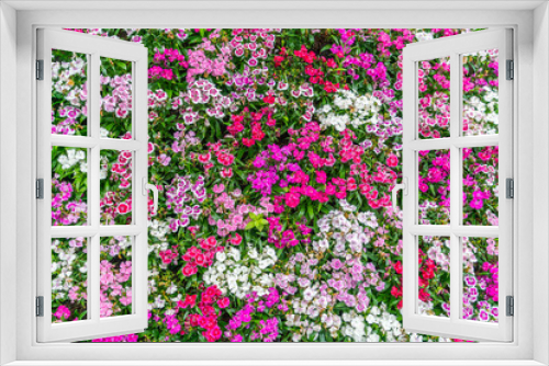 Fototapeta Naklejka Na Ścianę Okno 3D - Beautiful flowers background
