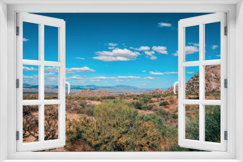 Fototapeta Naklejka Na Ścianę Okno 3D - Spring in the Arizona desert