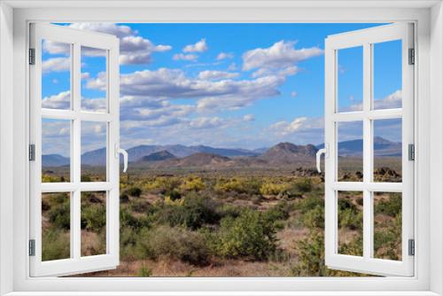 Fototapeta Naklejka Na Ścianę Okno 3D - Sonoran Desert landscape outside Scottsdale Arizona