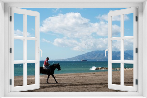 Fototapeta Naklejka Na Ścianę Okno 3D - Caballo en la playa
