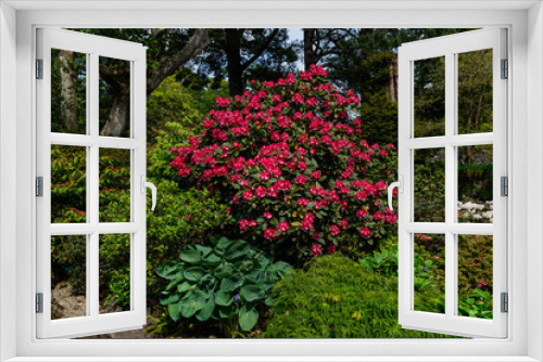 Fototapeta Naklejka Na Ścianę Okno 3D - Beautiful Garden with blooming trees during spring time, Wales, UK