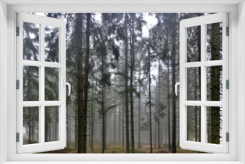 Fototapeta Naklejka Na Ścianę Okno 3D - fog in the fir forest