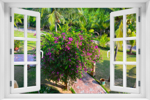 Fototapeta Naklejka Na Ścianę Okno 3D - Beautiful view of the garden in Vietnam