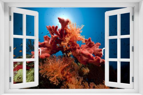 Fototapeta Naklejka Na Ścianę Okno 3D - Fish, coral and ocean