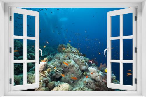 Fototapeta Naklejka Na Ścianę Okno 3D - Fish, coral and ocean