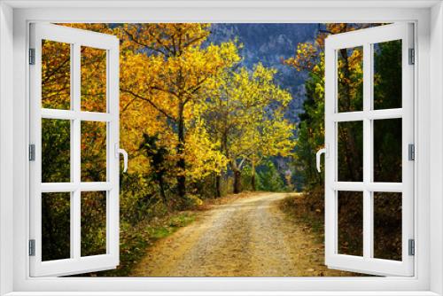 Fototapeta Naklejka Na Ścianę Okno 3D - Landscape image of dirt countryside dirt road with colorful autumn leaves and trees in forest of Mersin, Turkey