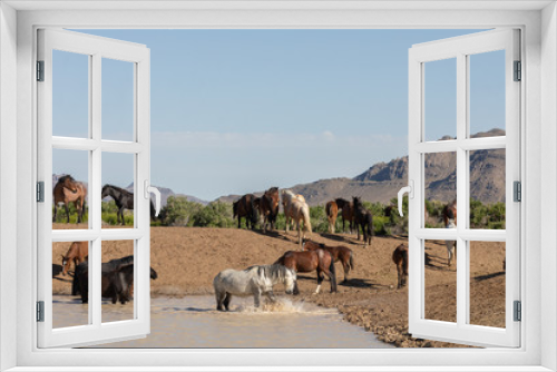 Fototapeta Naklejka Na Ścianę Okno 3D - Wild Horses at a Waterhole in the Utah Desert