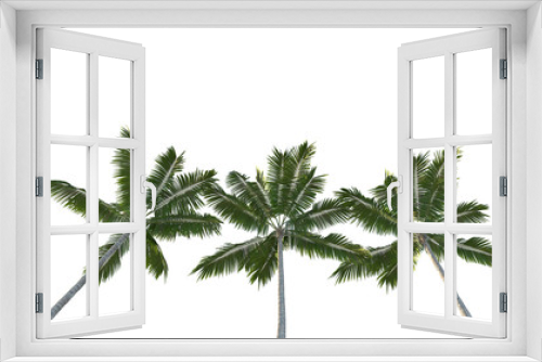 Fototapeta Naklejka Na Ścianę Okno 3D - coconut trees isolated on a white background