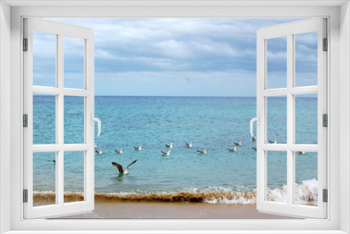 Fototapeta Naklejka Na Ścianę Okno 3D - Gaviotas en el mar