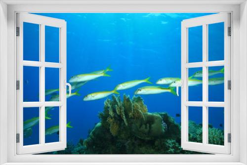 Fototapeta Naklejka Na Ścianę Okno 3D - Shoal of Yellowfin Goatfish