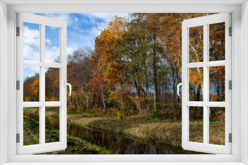 Fototapeta Naklejka Na Ścianę Okno 3D - Autumn colors. Fall. Netherlands