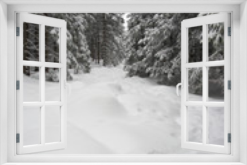 Fototapeta Naklejka Na Ścianę Okno 3D - Winterlandschaft