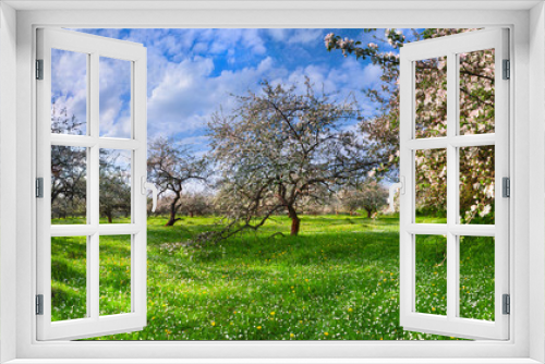 Fototapeta Naklejka Na Ścianę Okno 3D - blossom apple-trees garden in the Spring