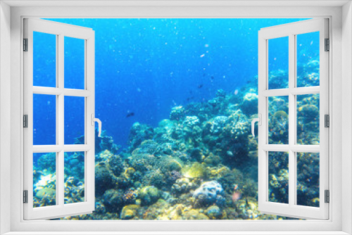 Fototapeta Naklejka Na Ścianę Okno 3D - Underwater landscape with tropical fish and coral reef. Oxygen bubbles in blue seawater. Marine animals in wild nature
