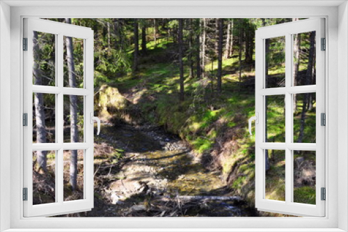 Fototapeta Naklejka Na Ścianę Okno 3D - The plot of coniferous forest with pines, grass, hummocks, dry branches and a brook on a sunny day in spring. Forest corner.