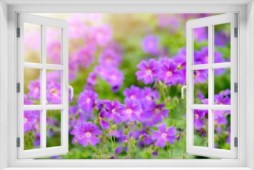 Fototapeta Naklejka Na Ścianę Okno 3D - Campanula spring flowers as background
