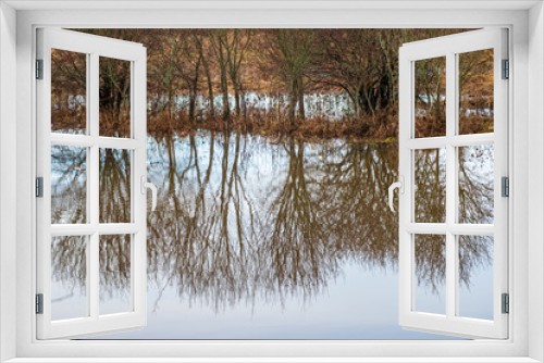 Fototapeta Naklejka Na Ścianę Okno 3D - river in summer green shores with tree reflections in water