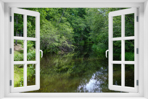 Fototapeta Naklejka Na Ścianę Okno 3D - river in summer green shores with tree reflections in water