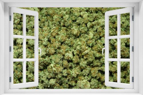 Fototapeta Naklejka Na Ścianę Okno 3D - Cannabis Nahaufnahme, getrocknete Blüten