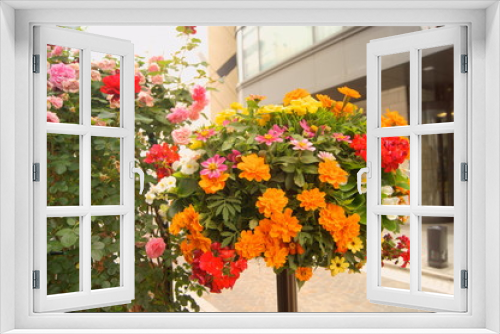 Fototapeta Naklejka Na Ścianę Okno 3D - とても綺麗な花籠の花