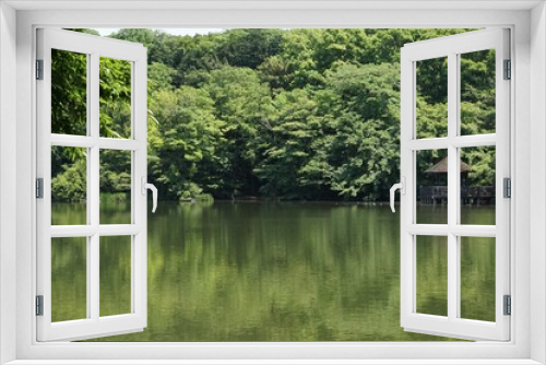 Fototapeta Naklejka Na Ścianę Okno 3D - 初夏の三宝寺池