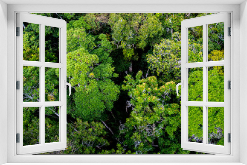 Fototapeta Naklejka Na Ścianę Okno 3D - Dark moody tropical rainforest viewed from above