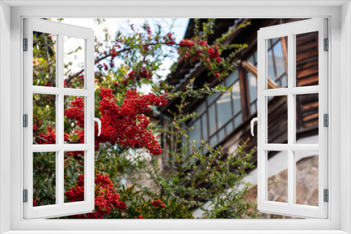 Fototapeta Naklejka Na Ścianę Okno 3D - 坂のある町の花と木造家屋