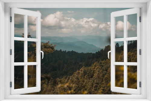 Fototapeta Naklejka Na Ścianę Okno 3D - Paisaje boscoso mexicano