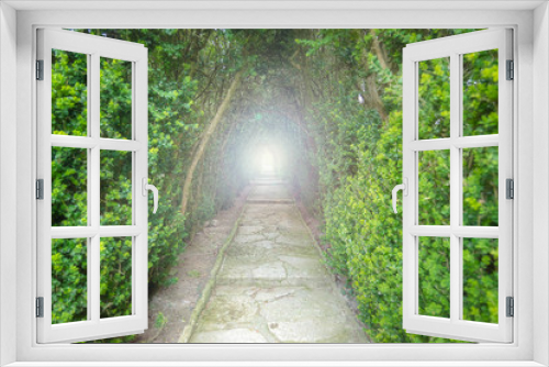 Fototapeta Naklejka Na Ścianę Okno 3D - Light at the end of the tunnel. Green natural tunnel of trees wi