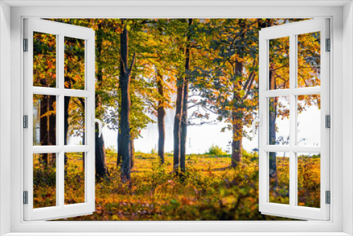 Fototapeta Naklejka Na Ścianę Okno 3D - A row of colorful trees in the autumn forest on the background of the river_
