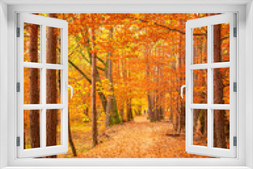 Fototapeta Naklejka Na Ścianę Okno 3D - Pathway in the forest at autumn