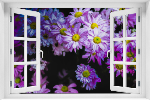 Fototapeta Naklejka Na Ścianę Okno 3D - picture Pink purple flower group surface, beautiful pattern