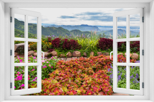 Fototapeta Naklejka Na Ścianę Okno 3D - Colorful flowers blooming on top of mountain with landscape view in the morning.