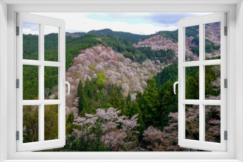 Fototapeta Naklejka Na Ścianę Okno 3D - Cherry blossom at spring time in Kyoto, Japan