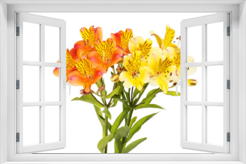 Fototapeta Naklejka Na Ścianę Okno 3D - Orange and yellow alstroemeria flowers