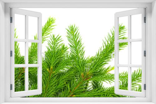 Fototapeta Naklejka Na Ścianę Okno 3D - Spruce branch isolated on white background. Green fir. Christmas tree