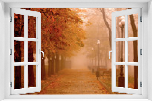 Fototapeta Naklejka Na Ścianę Okno 3D - Autumn Mist