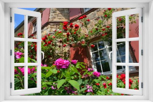 Fototapeta Naklejka Na Ścianę Okno 3D - Dekorative Rosensträucher als Eingrünung an der Fassade einer älteren Sandstein-Villa