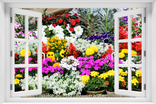 Fototapeta Naklejka Na Ścianę Okno 3D - Multicolor assorted tulips. Fresh spring flowers of bright spring colors. Yellow, red, purple, white, blue, green. Floral backdrop Background. Copy Space. Flowers for Women's Day or Wedding concept.