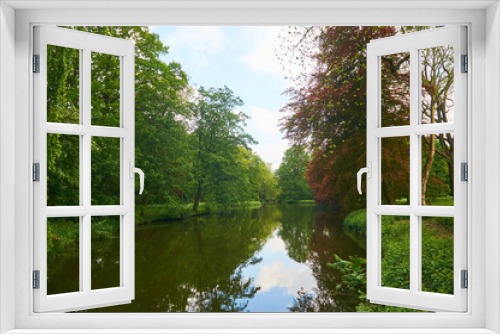Fototapeta Naklejka Na Ścianę Okno 3D - Greenery landscape and tree reflection in river      