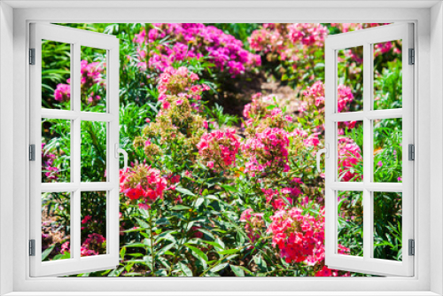 Fototapeta Naklejka Na Ścianę Okno 3D - Fresh colorful flower background