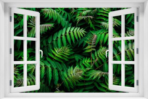 Fototapeta Naklejka Na Ścianę Okno 3D - natural leaf pattern