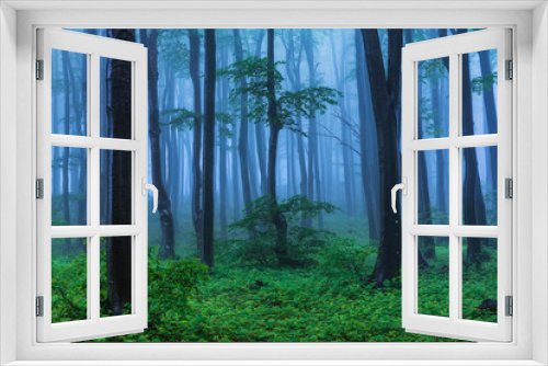 Fototapeta Naklejka Na Ścianę Okno 3D - Fairy tale misty looking woods in a rainy day. Cold foggy morning in horror forest
