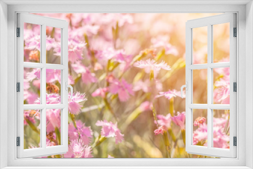 Fototapeta Naklejka Na Ścianę Okno 3D - Beautiful summer sunny pink flowers background