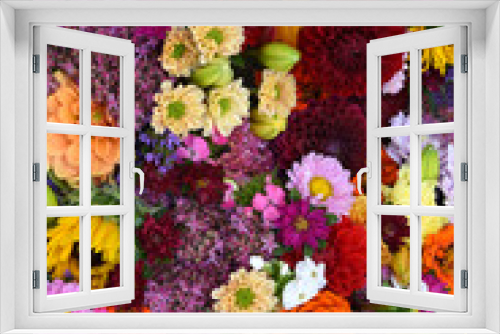 Fototapeta Naklejka Na Ścianę Okno 3D - Herbstblumen, Hintergrund